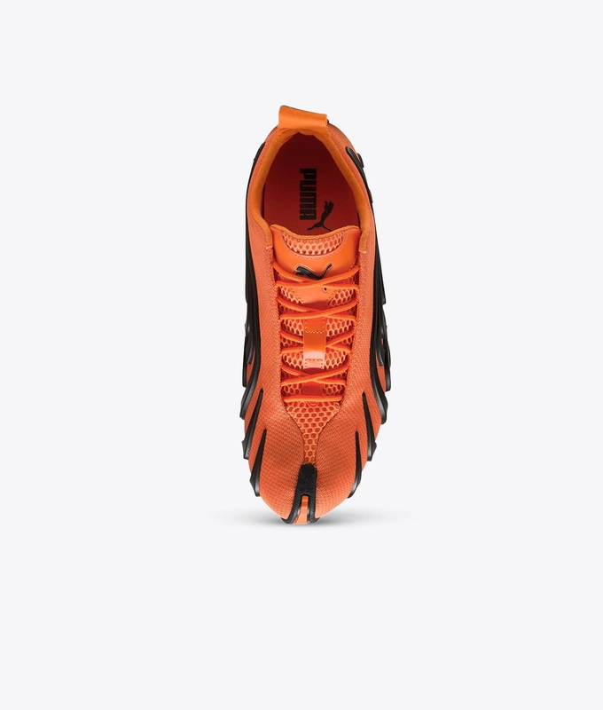 TALON OG