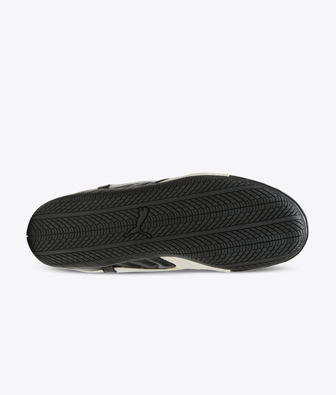X ROSE SPEEDCAT PREMIUM