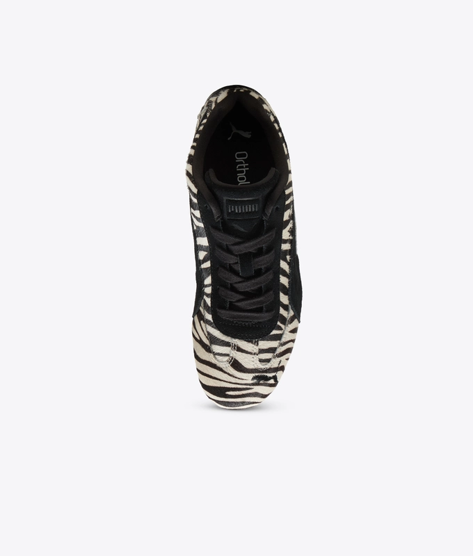 SPEEDCAT ZEBRA