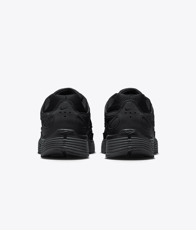 P-6000 REFLECTIVITY SE