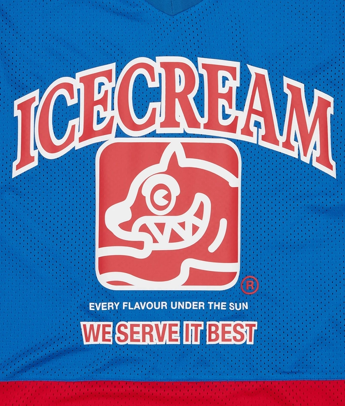 TEAM HOCKEY LONG SLEEVE JERSEY