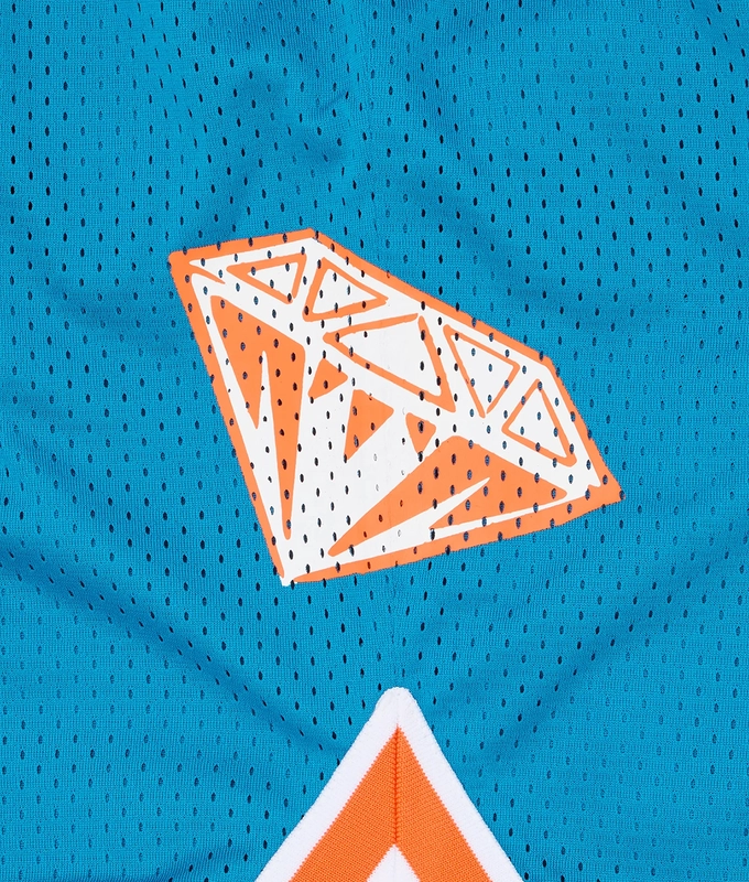 ARCH LOGO SPORT MESH SHORT