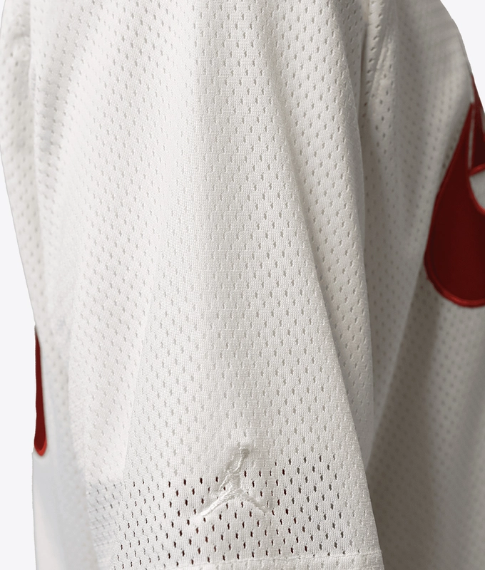 X NIGEL SYLVESTER JORDAN BIKE JERSEY