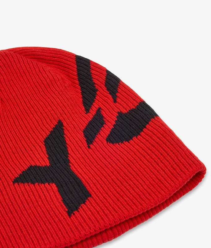 GRAPHIC LOGO BEANIE