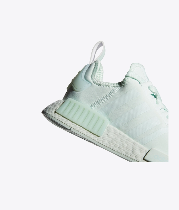 NMDR1 W 'dash green/dash green/dash green'