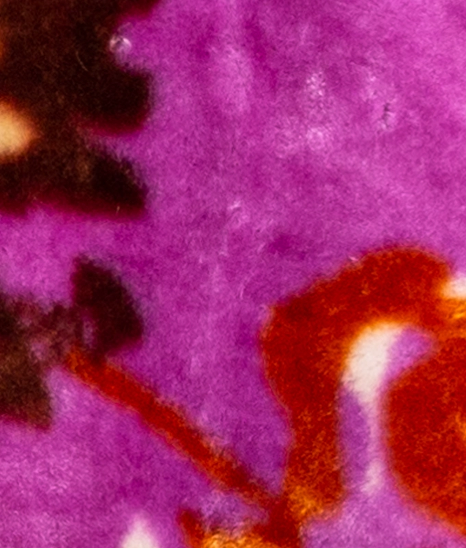 CAMP OUT JACKET 'MULTICOLOR' L