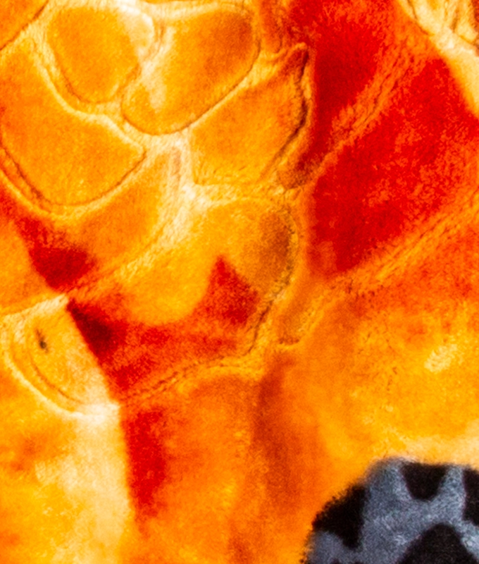 CAMP OUT JACKET 'MULTICOLOR' XXL