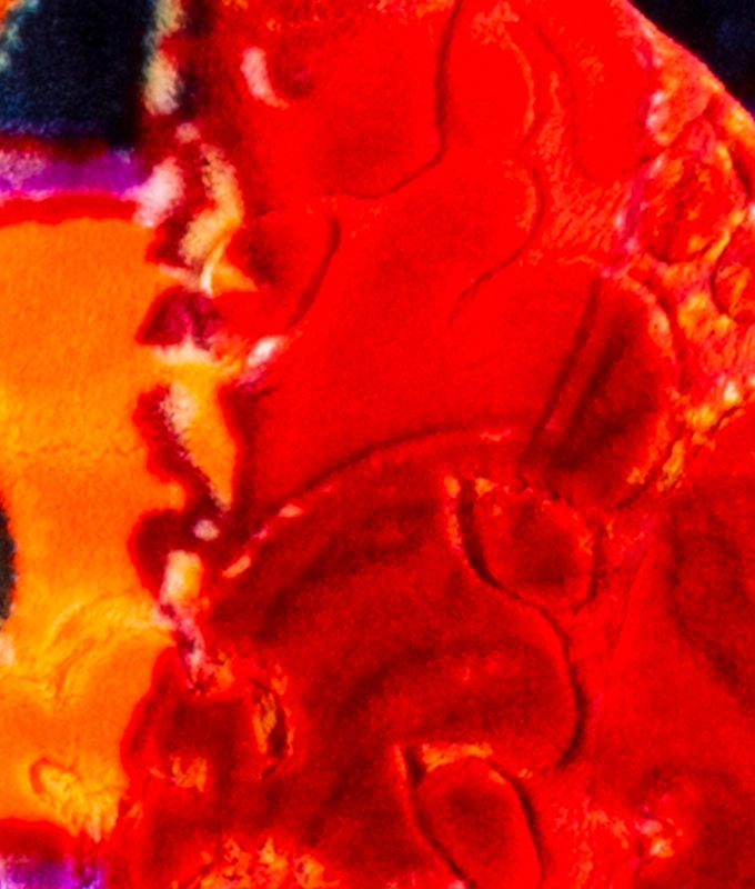 CAMP OUT COAT 'MULTICOLOR' M