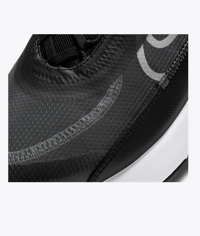 AIR MAX 2090 'BLACK/WHITE-WOLF GREY-ANTHRACITE'