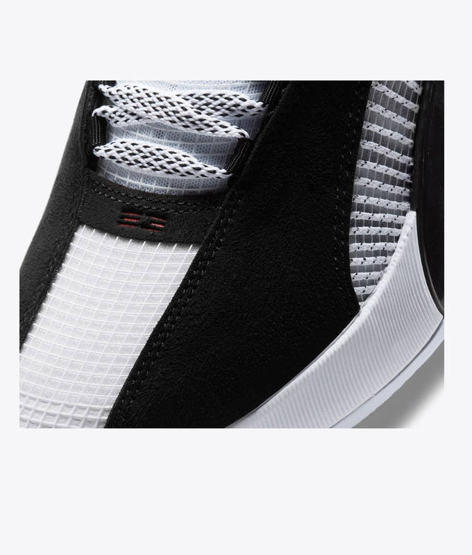 AIR JORDAN XXXV PF 'DNA'