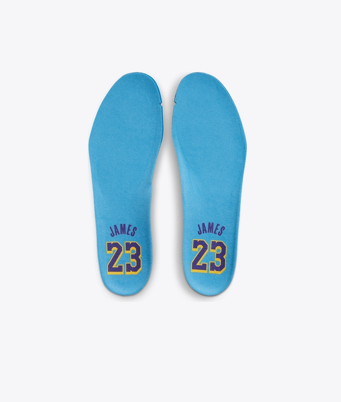 Lebron Xviii
