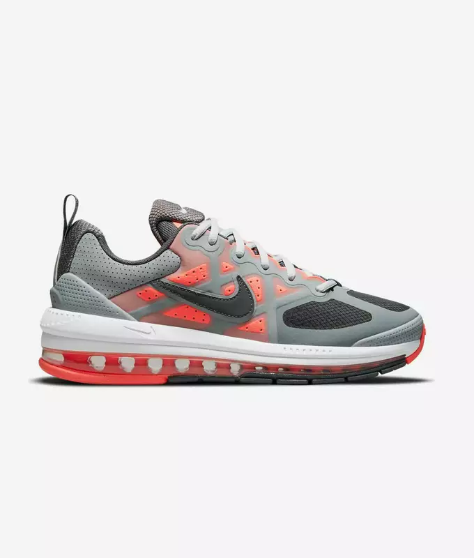 Air Max Genome