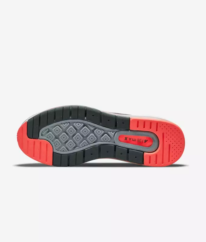 Air Max Genome
