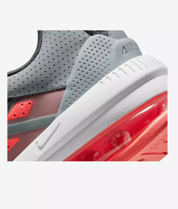 Air Max Genome
