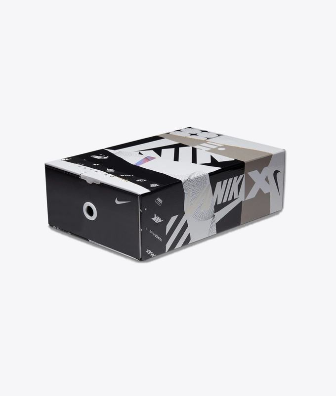 Air Max 2090 Eoi