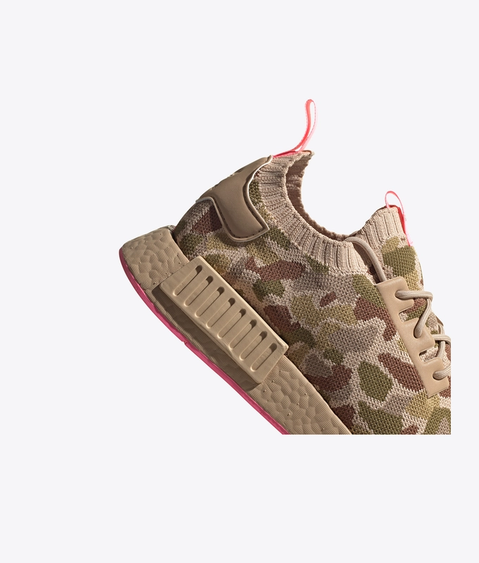 NmdR1 Pk