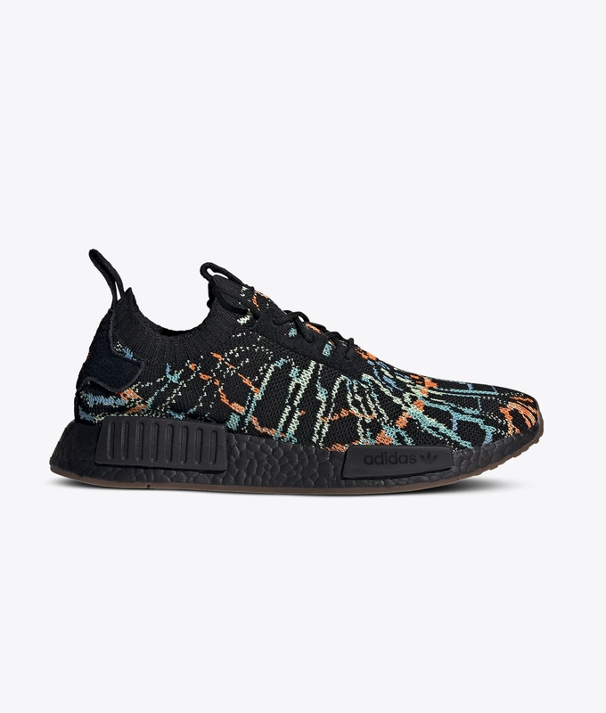 NmdR1 Pk