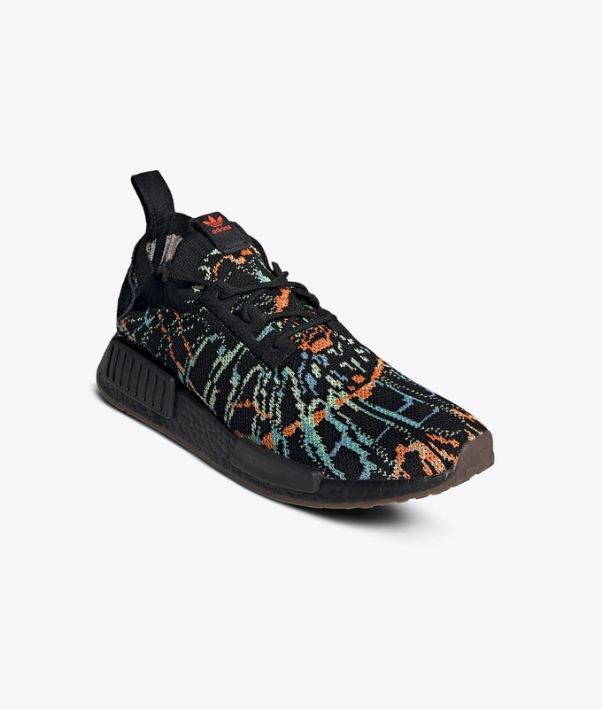 NmdR1 Pk