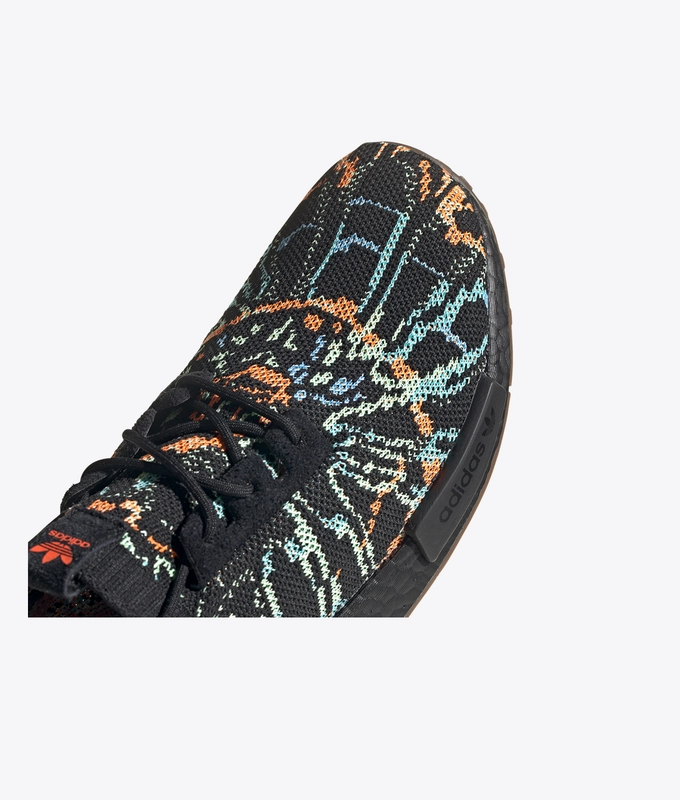 NmdR1 Pk