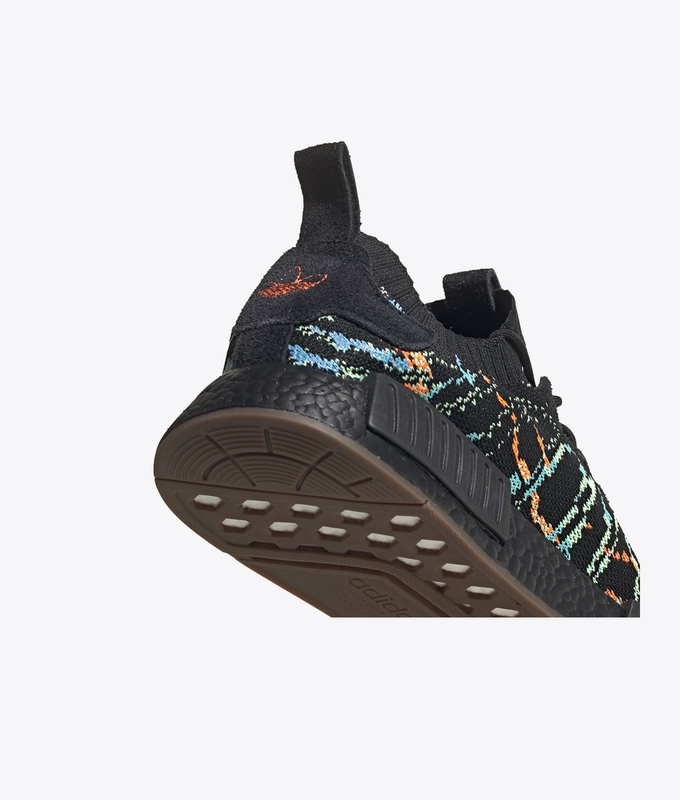 NmdR1 Pk
