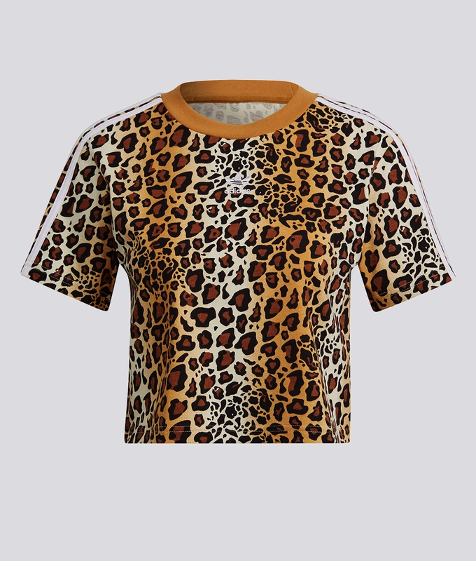 Cropped Tee