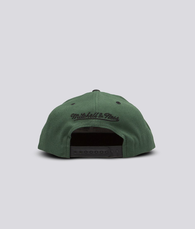 Intl226 - Team Arch Snapback