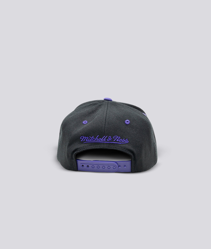 Intl226 - Team Arch Snapback Toronto Raptors 