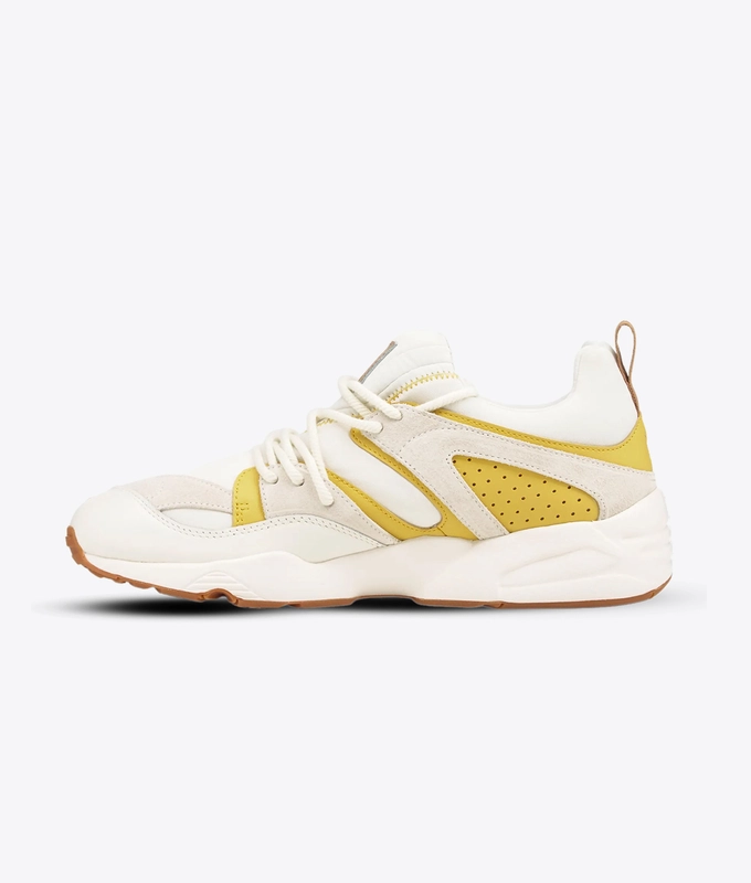 Blaze Of Glory DSouth