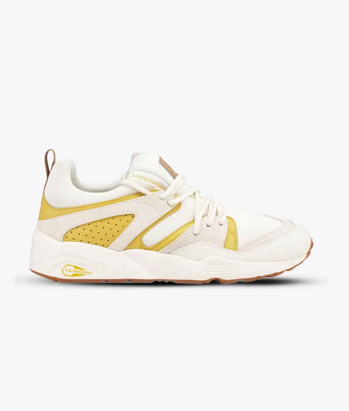 Blaze Of Glory DSouth