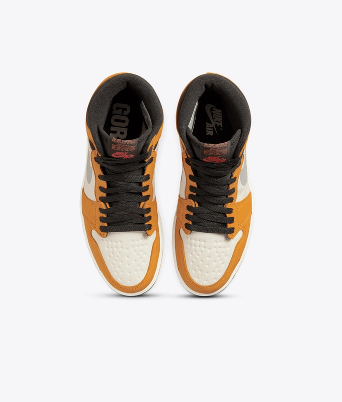 Air Jordan 1 Element