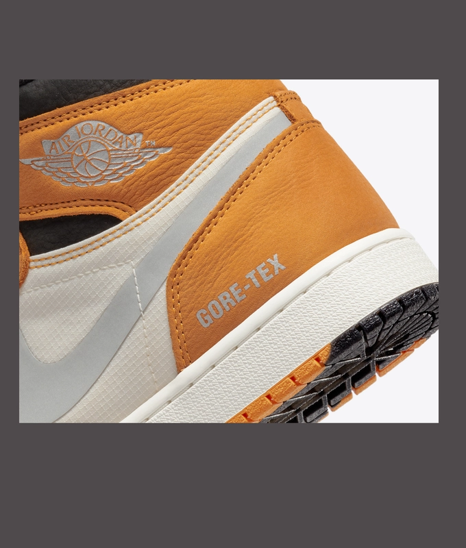 Air Jordan 1 Element