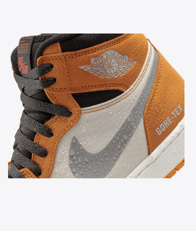 Air Jordan 1 Element