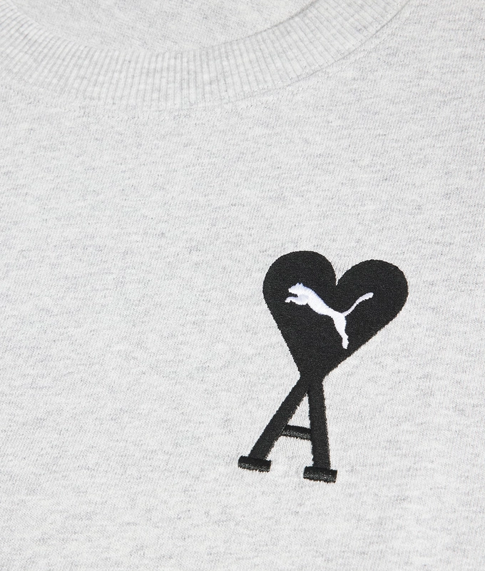 Pumaxamigraphictee