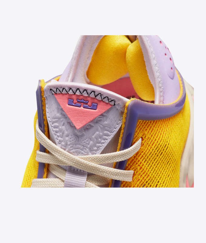 Lebron Xix Low