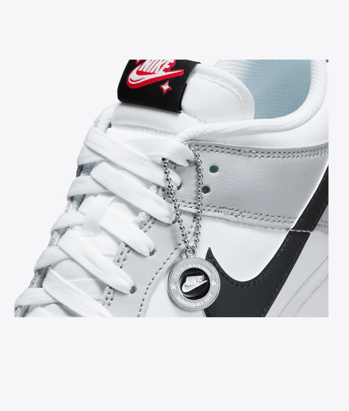 Dunk Low Retro Se