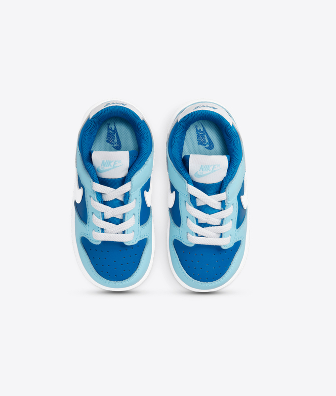 Dunk Low Retro Qs Tde