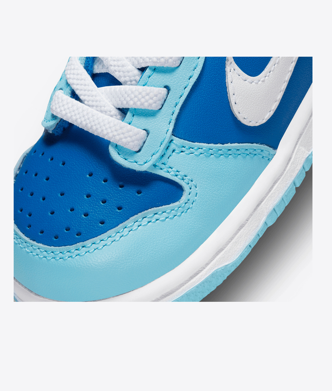 Dunk Low Retro Qs Tde