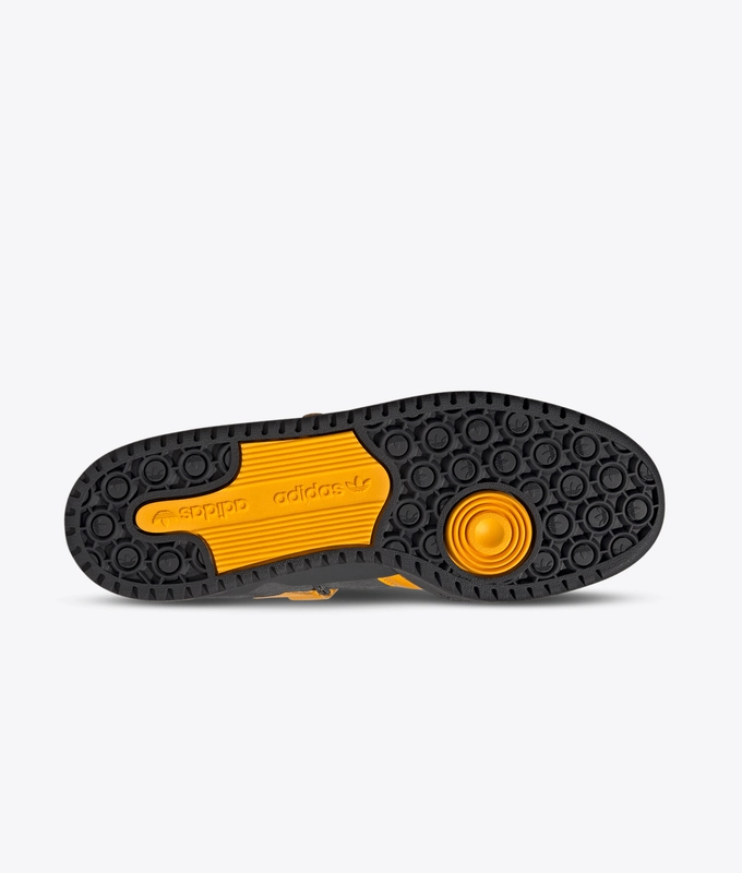 Forum 84 Camp Low