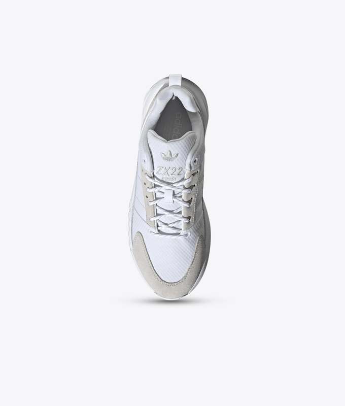 Zx 22 Boost
