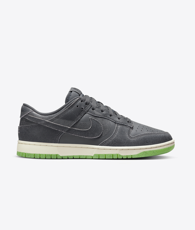 Dunk Low Retro Prm