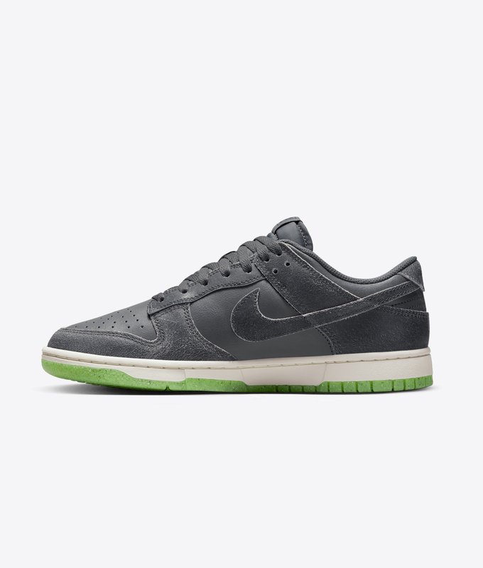 Dunk Low Retro Prm