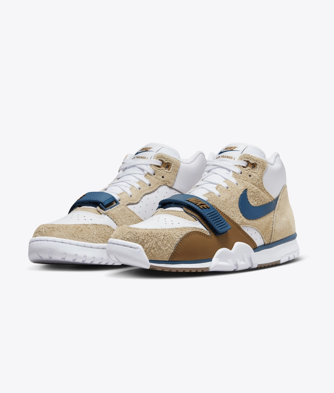 Air Trainer 1