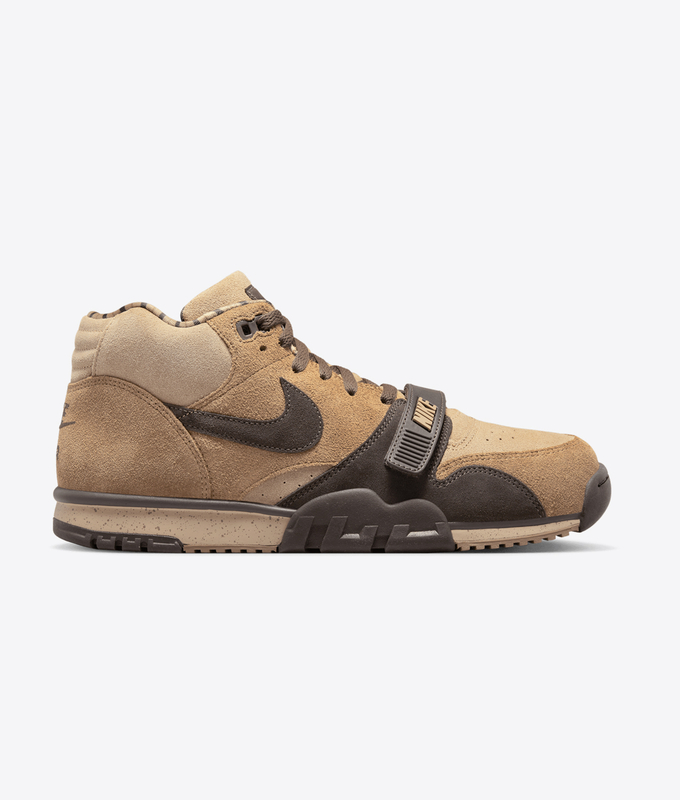 Air Trainer 1