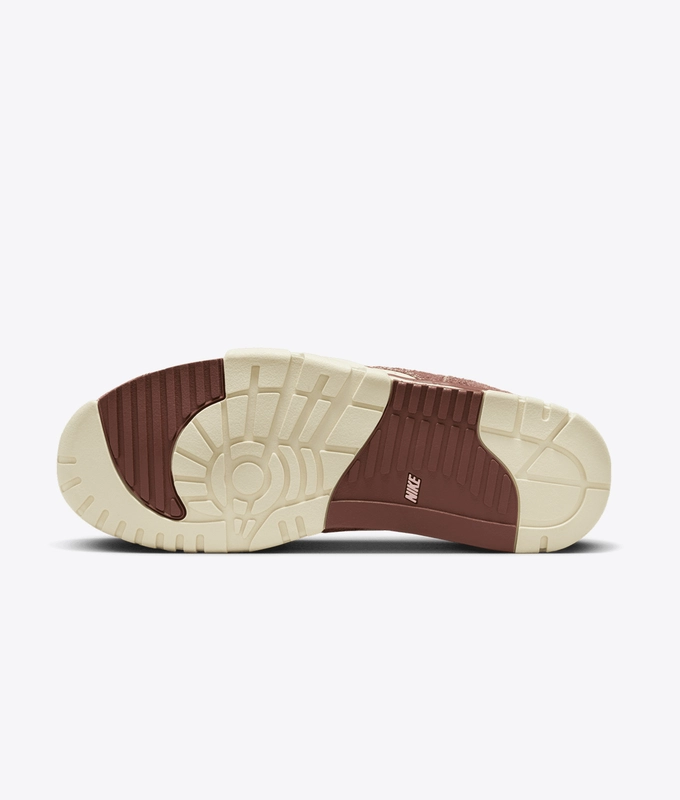 Air Trainer 1