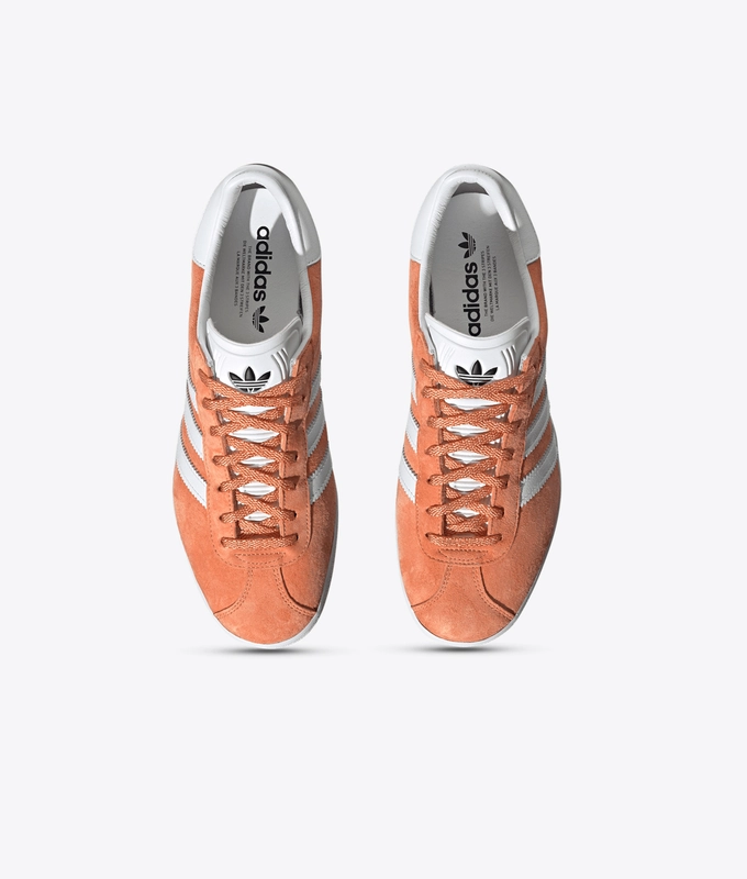 Gazelle 85