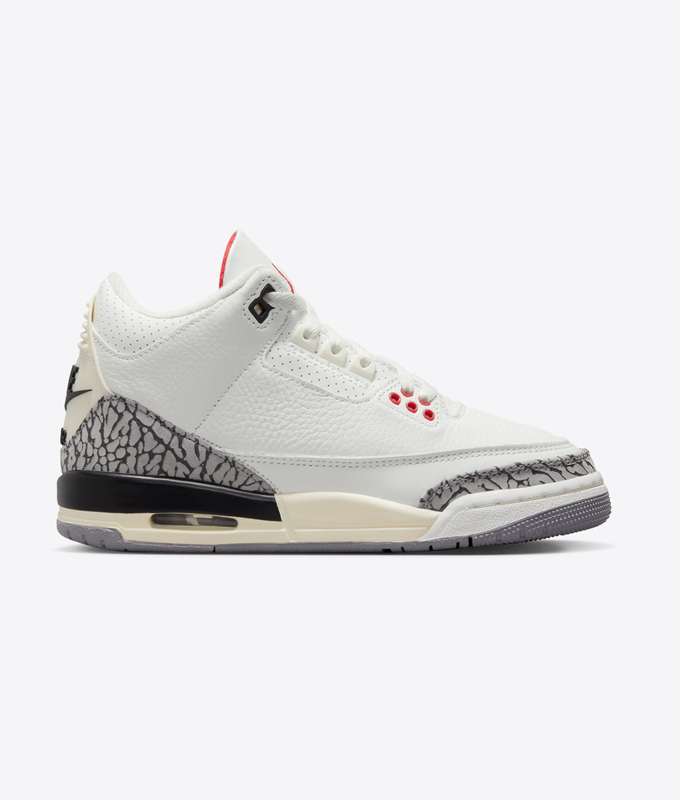 Air Jordan 3 Retro Gs