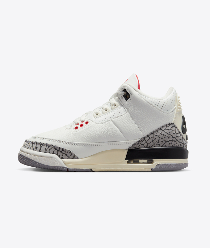 Air Jordan 3 Retro Gs