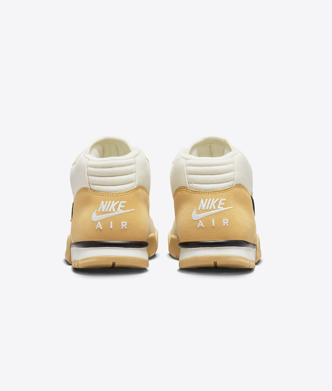 Air Trainer 1