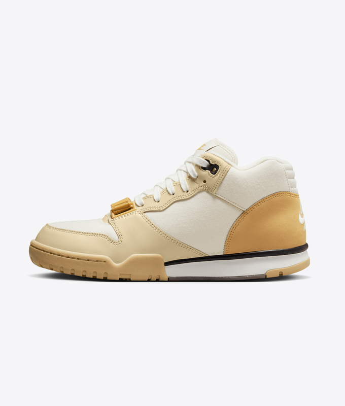 Air Trainer 1