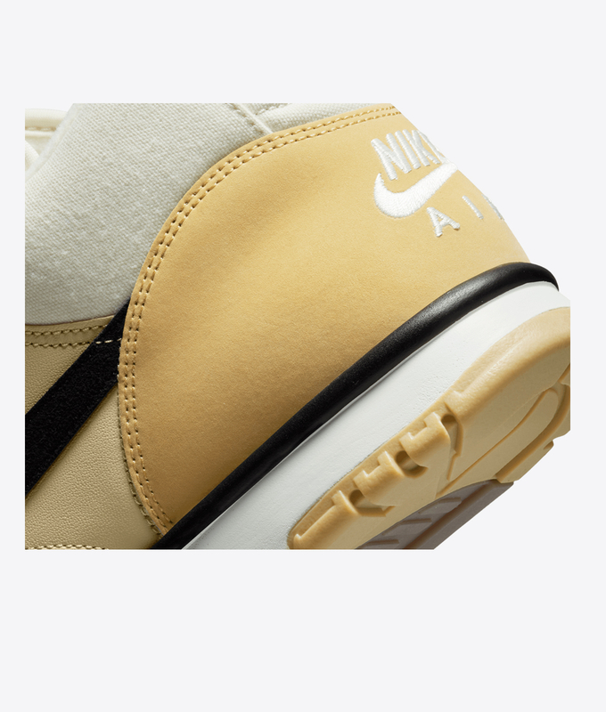 Air Trainer 1